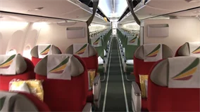 Just Planes Downloads - Ethiopian 737-700/800 (DVD)