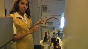 Ethiopian 777-200LR & 767-300ER (DVD)