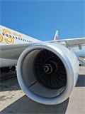 Sunclass A330-200 (DVD)