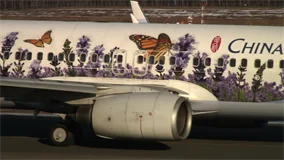 Just Planes Downloads - WORLD AIRPORT CLASSICS : Japan (2011)