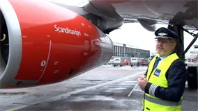 Just Planes Downloads - SAS A330E