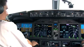 Just Planes Downloads - AeroMexico 737MAX