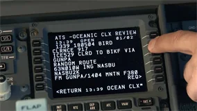 Just Planes Downloads - Icelandair 737MAX (DVD)