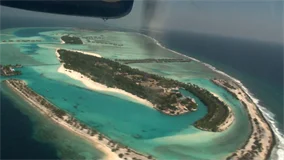 Just Planes Downloads - Trans Maldivian Twin Otter