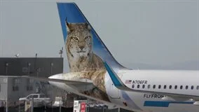 Just Planes Downloads - WORLD AIRPORT : Denver (DVD)