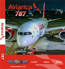 Avianca 787 (DVD)