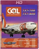 GOL 737 Part1